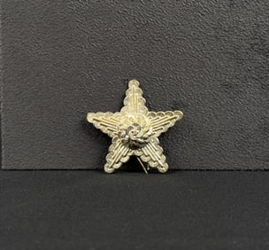 Civil War Confederate Texas Lone Star Hat Badge
