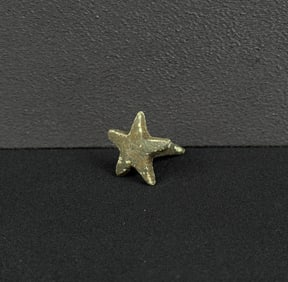 Civil War Confederate Texas Lone Star Hat Badge