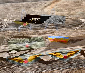 Named Vietnam War Special Forces Patch Grouping