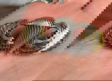 Named Vietnam War Special Forces Jump Wing