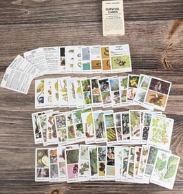 Vietnam War South East Asia Survival Cards