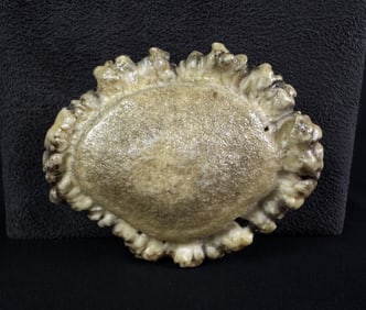 Montana Elk Horn Rosette Belt Buckle