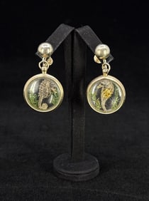Mid Century Real Dried Seahorse Earrings