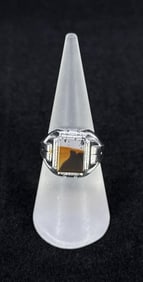 Sterling Silver Montana Picture Agate Ring