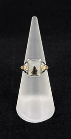 Sterling Silver Montana Agate Ring