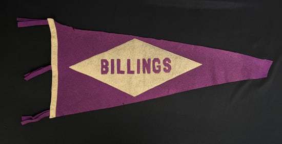 Billings Montana Souvenir Felt Pennant