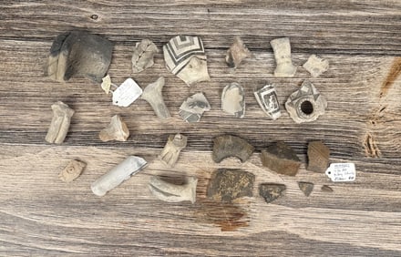 Ancient Anasazi Mimbres Pottery Shards