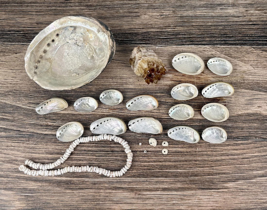 Collection of Assorted Abalone Shells and Mineral (1 of 4)