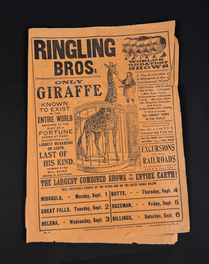 Ringling Brothers Circus Giraffe in Montana (1 of 5)
