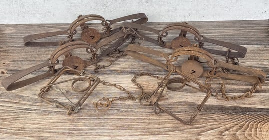 Collection of Victor Montana Ranch Used Traps