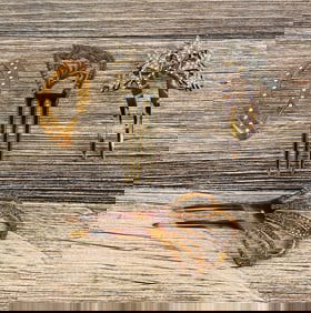 Art Deco Hair Adornments Combs