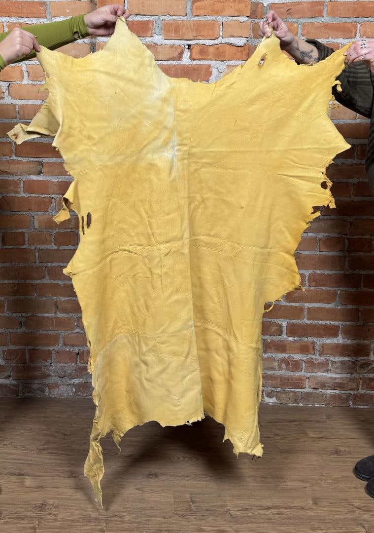 Tanned Leather Montana Elk Hide (1 of 3)