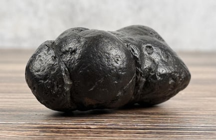 Megalodon Shark Coprolite Fossil Poop