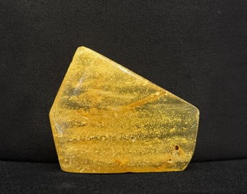 Slab of Baltic Amber