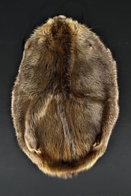 Montana Taxidermy Beaver Hide Pelt