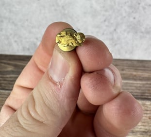 20kt Gold Nugget Tack