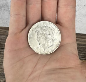 1923 P Silver Peace Dollar