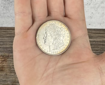 1885 P Morgan Silver Dollar