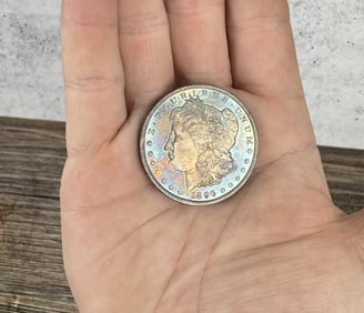 1896 P Morgan Silver Dollar