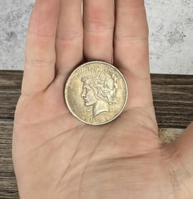 1922 P Silver Peace Dollar