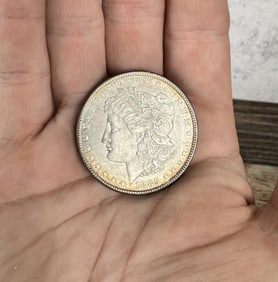 1885 P Morgan Silver Dollar