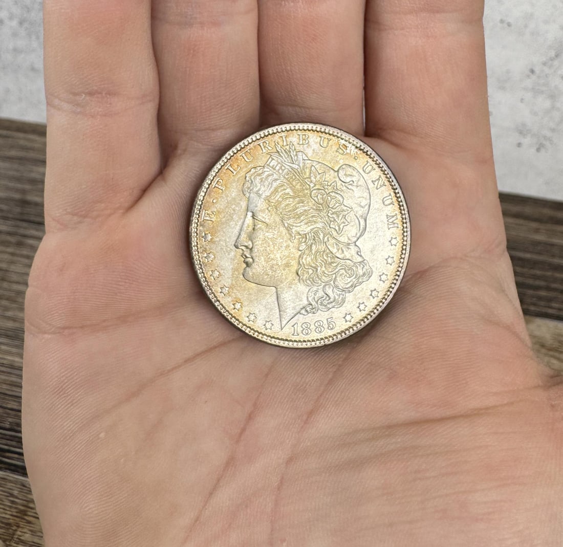 1885 P Morgan Silver Dollar (1 of 3)