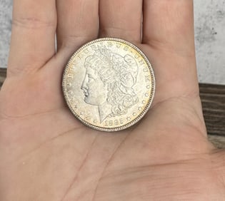 1885 P Morgan Silver Dollar