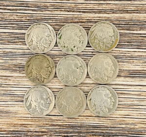 Collection of 1930's Buffalo Nickels