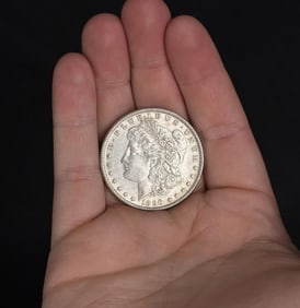 1896 P Morgan Silver Dollar