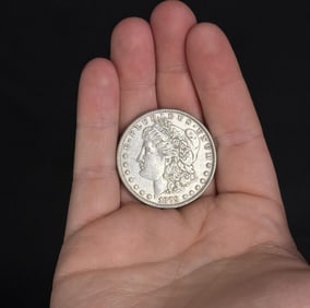 1879 P Morgan Silver Dollar