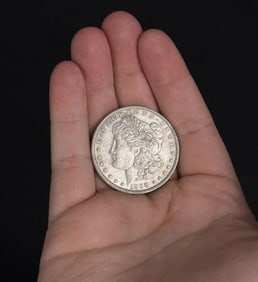 1896 P Morgan Silver Dollar