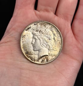 1924 P Silver Peace Dollar
