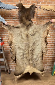 Montana Taxidermy Elk Hide