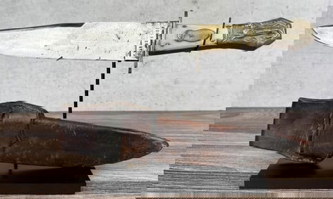 Edward Barnes and Sons Horse Alligator Bowie