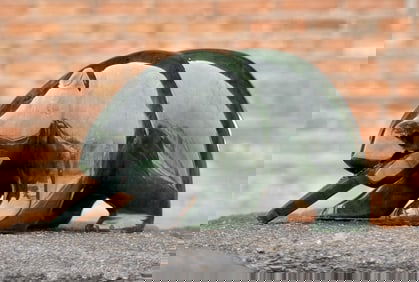 Alaskan Eskimo Inuit Carved Nephrite Jade Bear