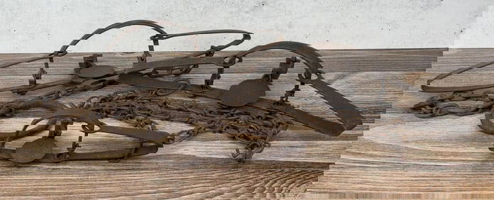 Collection of Montana Ranch Used Newhouse Traps