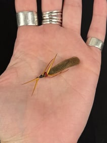 Jack Boehme Missoula Montana Fishing Fly