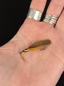 Jack Boehme Missoula Montana Fishing Fly