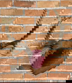 Montana Taxidermy Whitetail Deer Horns