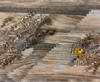 Collection of Antique Keys