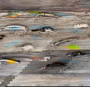 Collection of Fishing Lures
