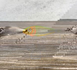 Barracuda Baby Shiner Fishing Lure