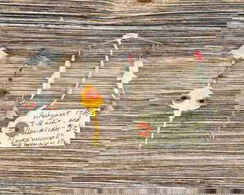 Collection of Fishing Lures