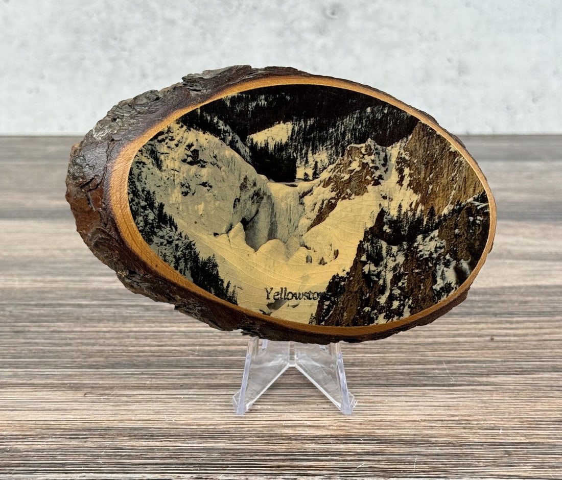 Yellowstone National Park Souvenir Wood Slice: 5 5/8" by 4" by 3/4"