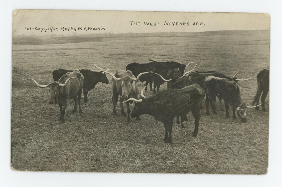 W.H. Martin The West 30 Years Ago RPPC Postcard: Nice early cowboy image.