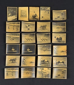 Madison Square Garden Rodeo Photos