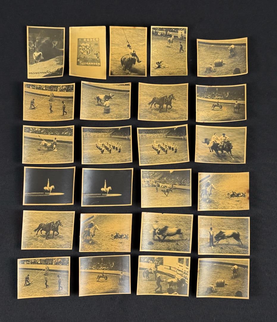 Madison Square Garden Rodeo Photos (1 of 6)