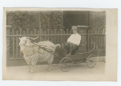 Boy with Goat Cart RPPC Real Photo Postcard