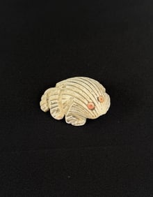 Antique Zuni Carved Shell Frog Fetish