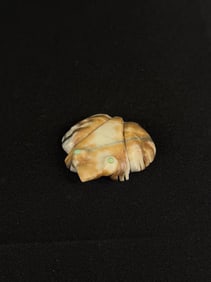 Zuni Carved Picasso Marble Frog Fetish
